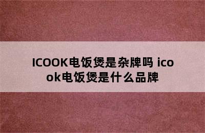 ICOOK电饭煲是杂牌吗 icook电饭煲是什么品牌